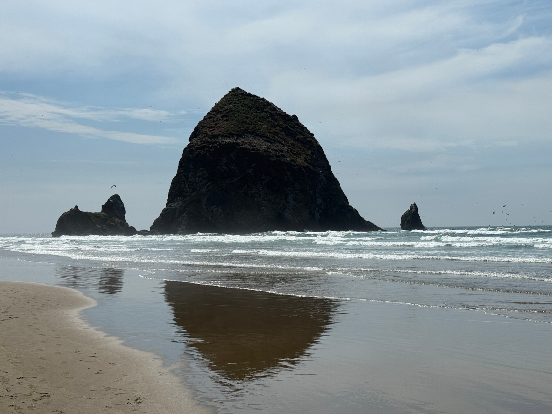 Oregon Coast & Whale Watching Tour
